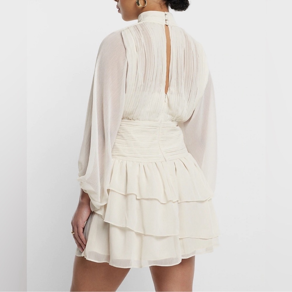 Express Dress - Picture 4 of 5